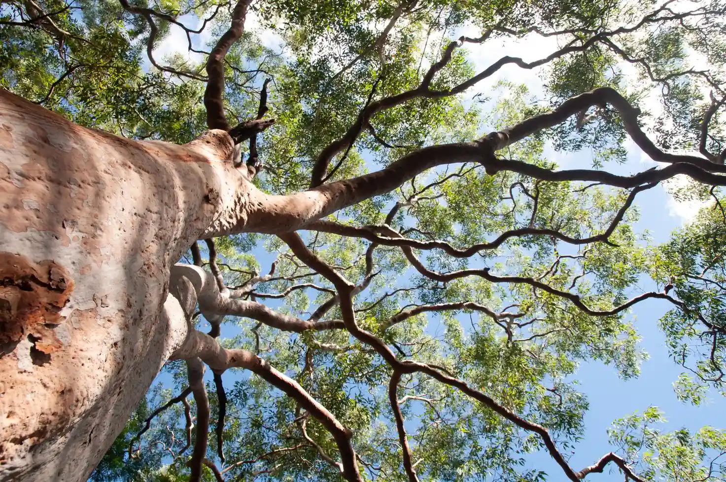 Planning and environmental frameworks