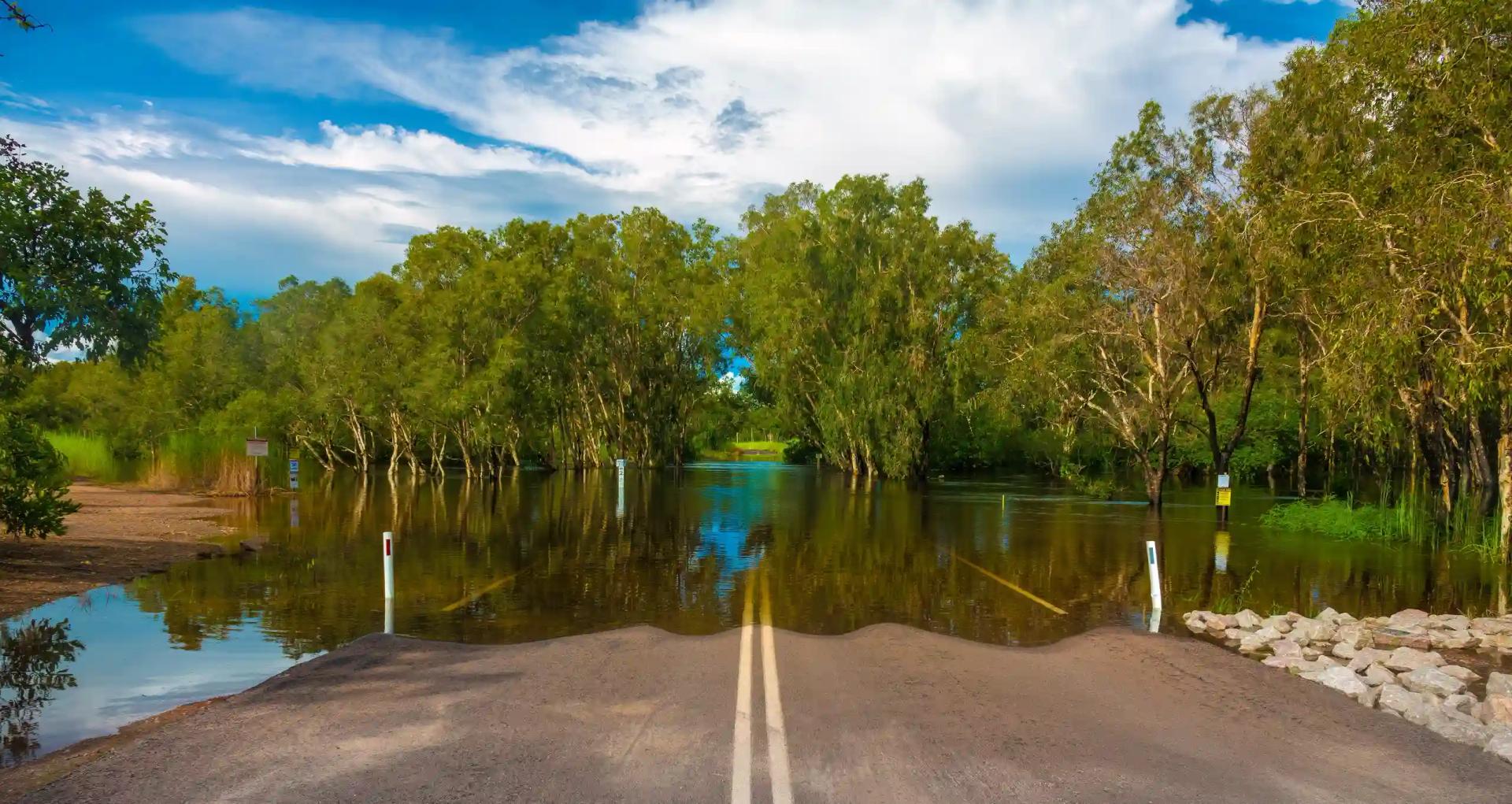 Disaster and resilience services